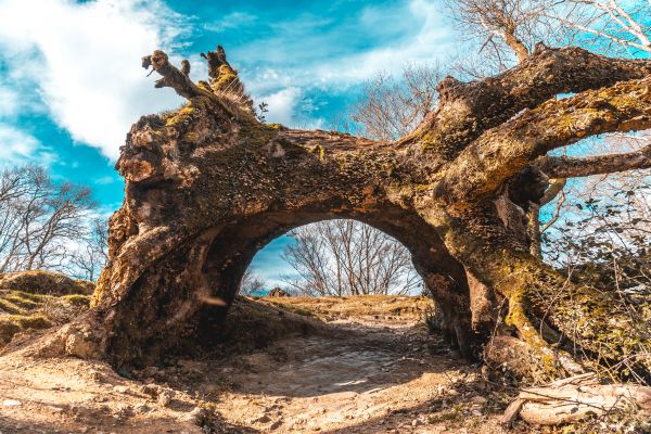 pstchotronka parapsychologia szkola psychotroniki